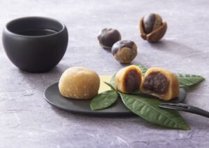 【鳥取県】白とち餅