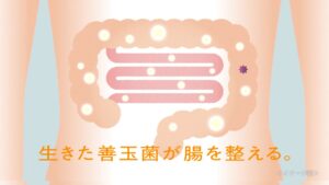 「森のキッチン」篇のカットシーン (5)