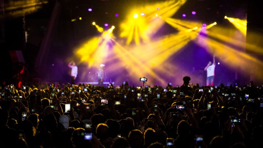 歌手のライブに熱狂する観客